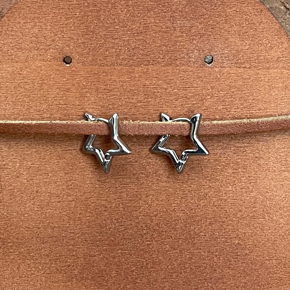 Star Huggie Hoop Earrings 18$